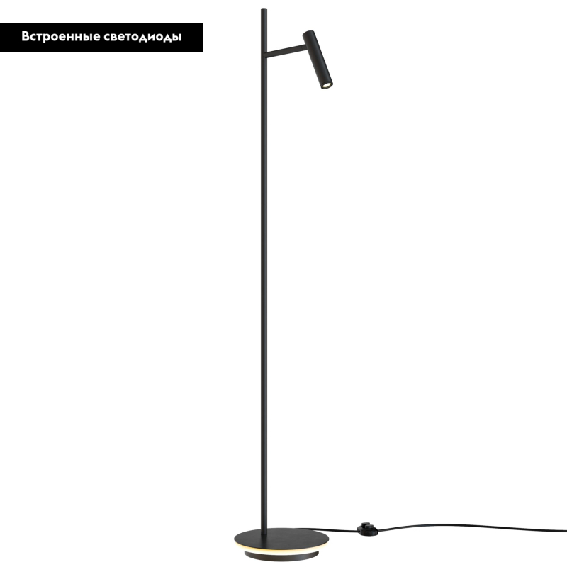 Торшер Maytoni Estudo Z010FL-L8B3K